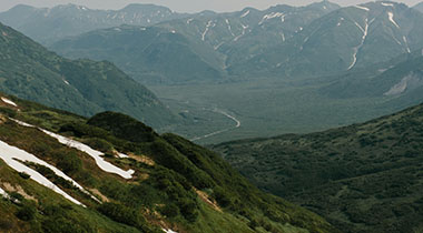 原来大家都在偷偷搜，蘑菇视频电脑版相关搜索让不少人破防，看完情绪有点复杂