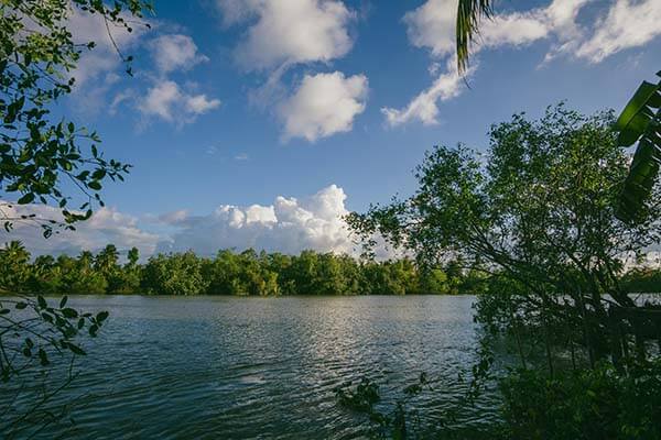 原来大家都在偷偷搜，蘑菇视频电脑版相关搜索让不少人破防，看完情绪有点复杂